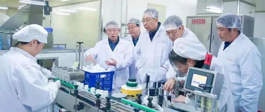 依法服務保障企業(yè)更好發(fā)展，隴南中院院長萬建軍赴獨一味制藥調研指導