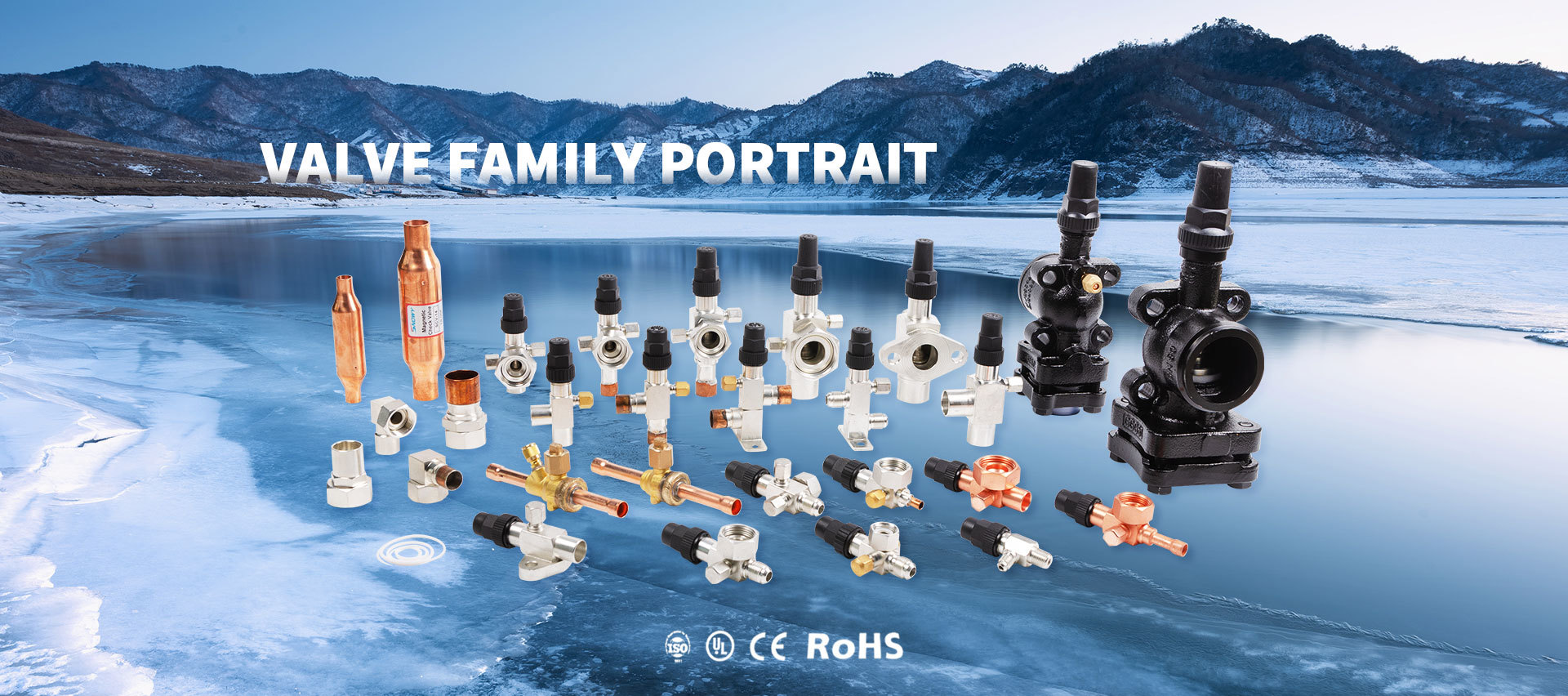 Valve family portrait