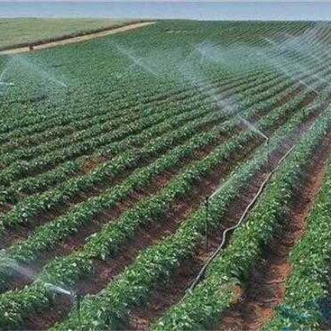 MANGUERA PLANA DE ALTA PRESIÓN CON AHORRO DE AGUA MICRO-SPRAY