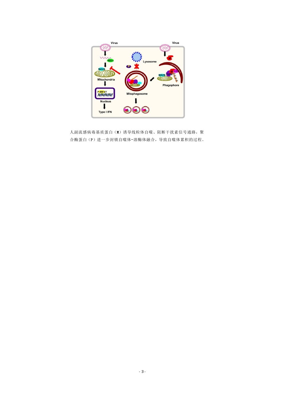 Newslette-42期