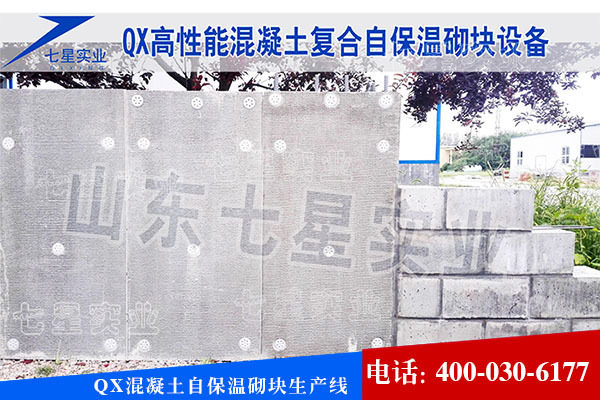 混凝土自保温砌块设备