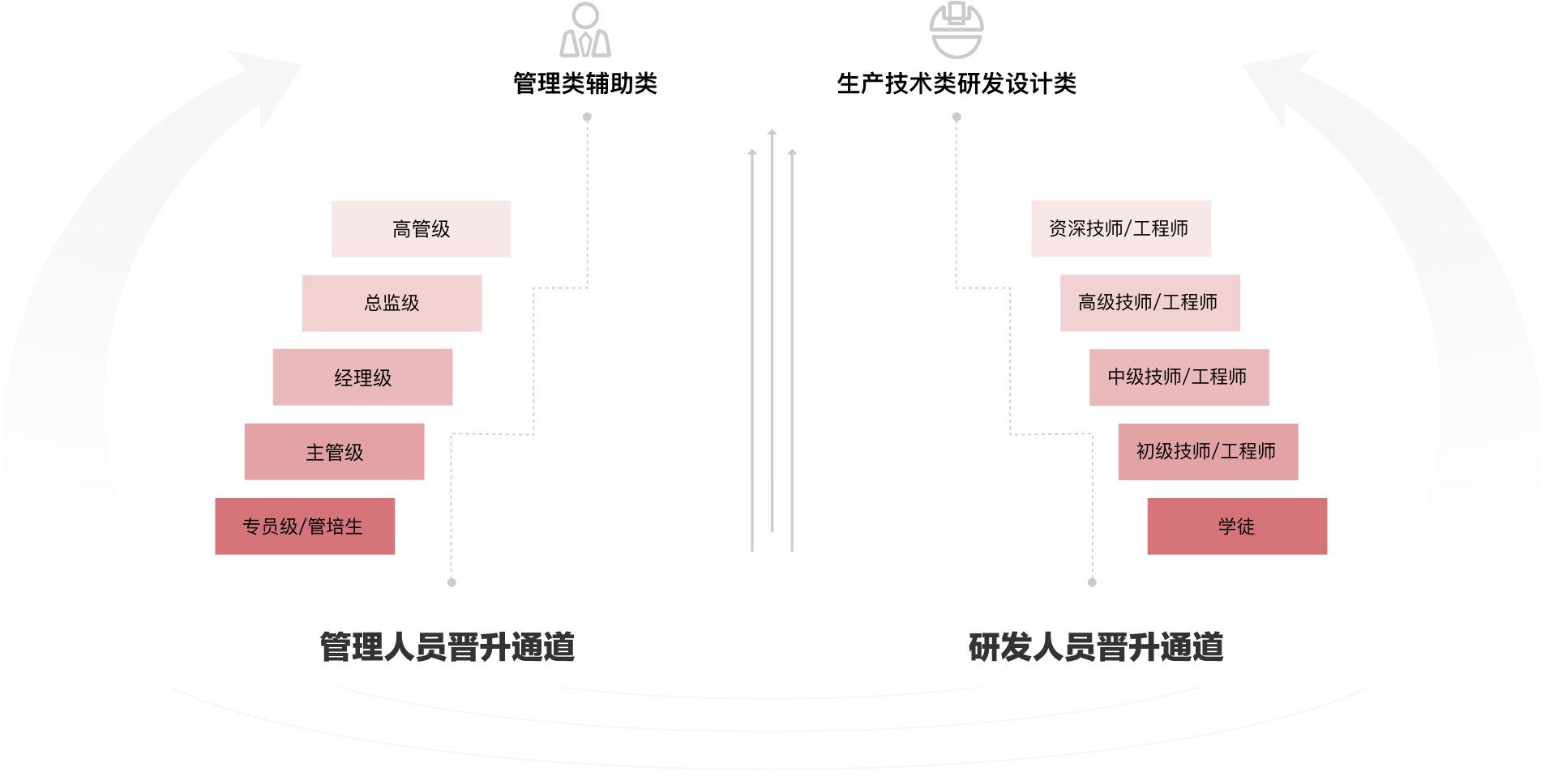 职业发展路径 职业发展路径