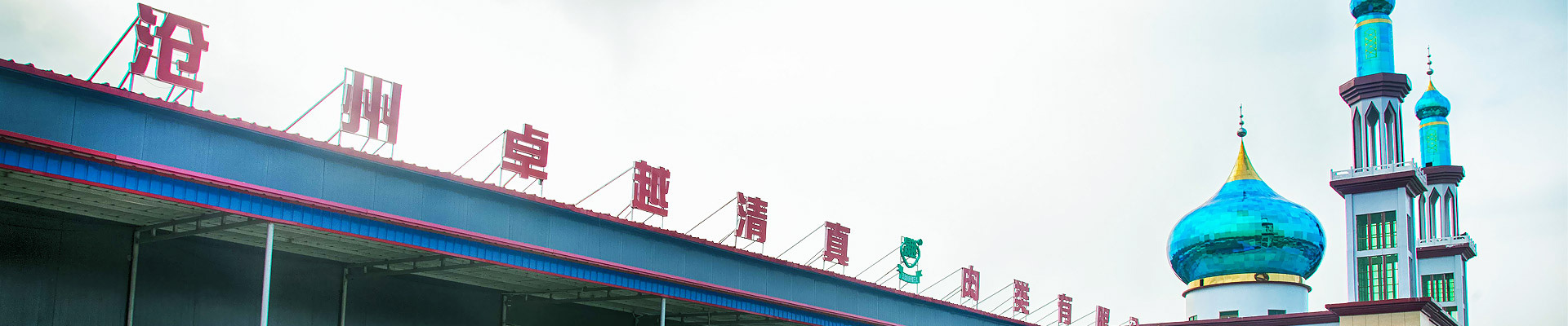 公司介紹