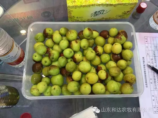 和达牧业