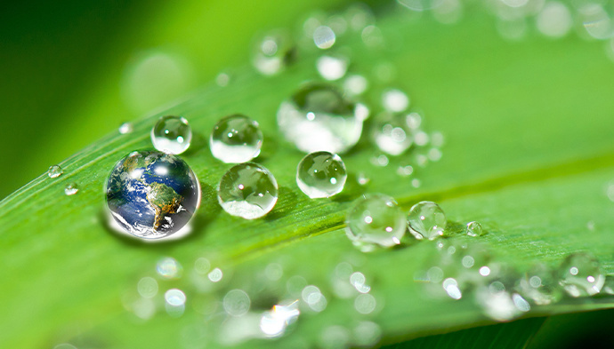 Sustainability