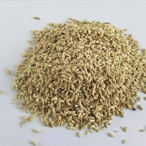 quercetin