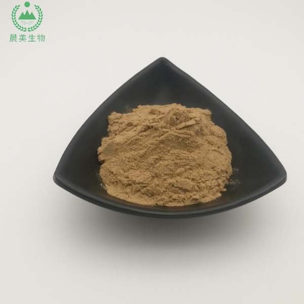 Green Tea Extract