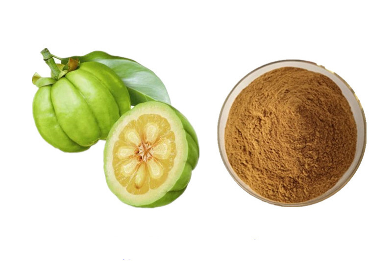 Tenghuang Fruit Extract