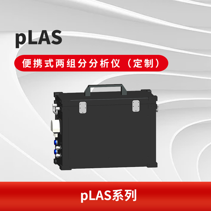 pLAS 便携式两组分分析仪（定制）
