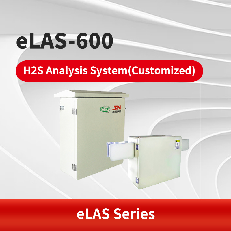 eLAS-600 H2S Analysis System(Customized)