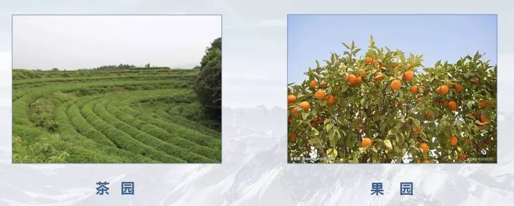 测绘人正在做的:什么是“三调”?