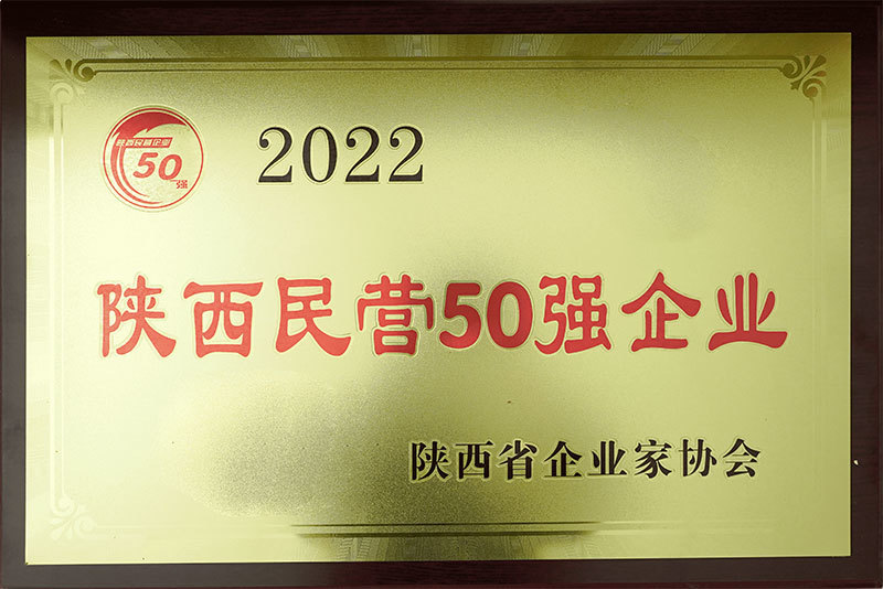 第45名 | 雨中情连续三年上榜陕西民营50强企业