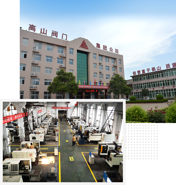 河南省高山阀门有限公司