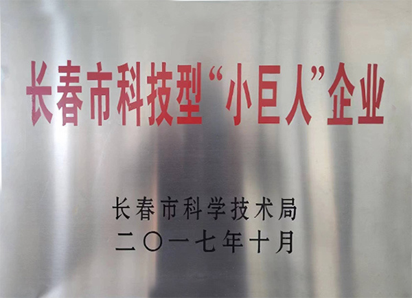 長春市科技型小巨人企業(yè)