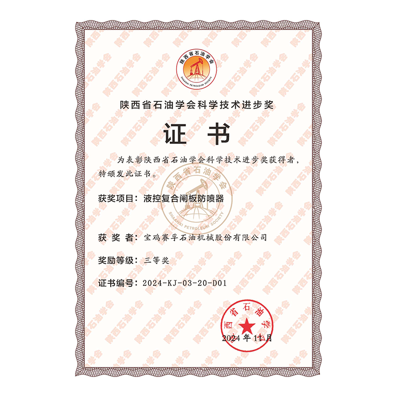陜西省石油學(xué)會科技進(jìn)步三等獎-2024