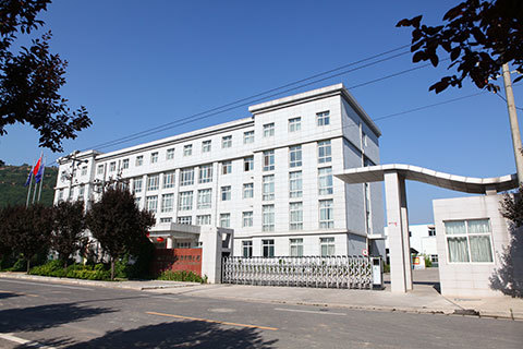 SAEF