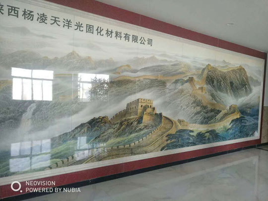 杨凌天洋