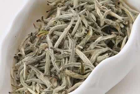 T3. White Tea Extract