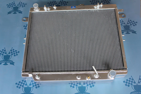 TYR100