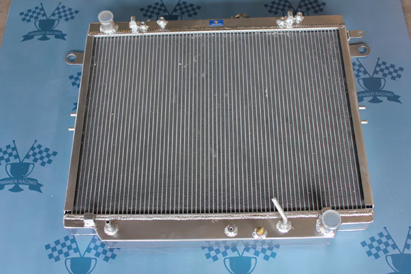 TYR100