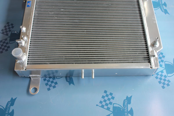 TYR100
