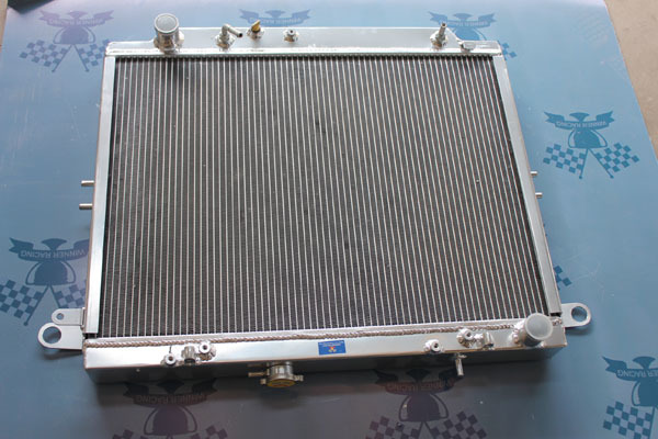 TYR100