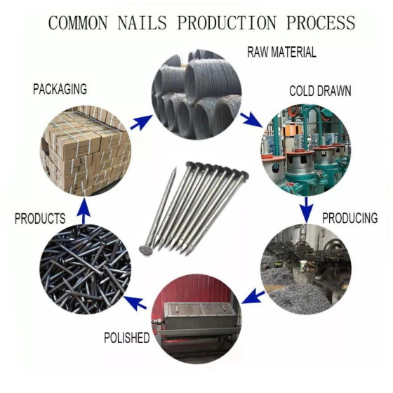 Coil Nail - Lituo Fasteners Manufacturer