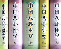 成功案例