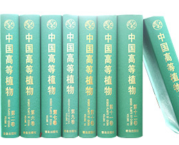 成功案例