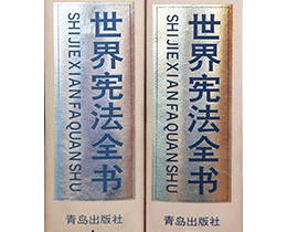 成功案例