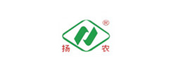 合作伙伴