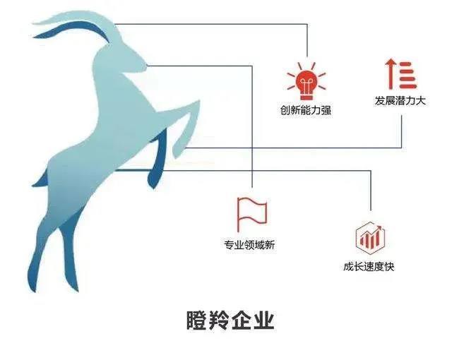 龙港股份入选2020年度山东省瞪羚企业