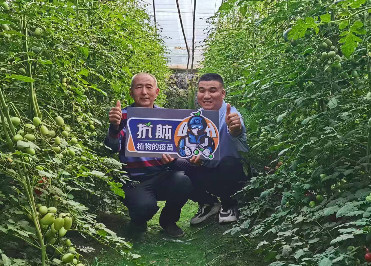 效果展示