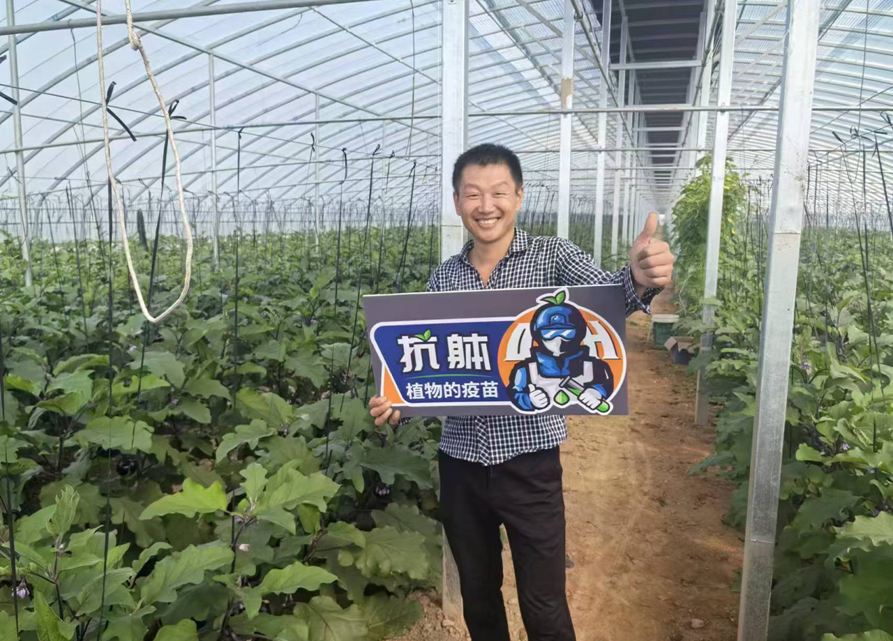 效果展示