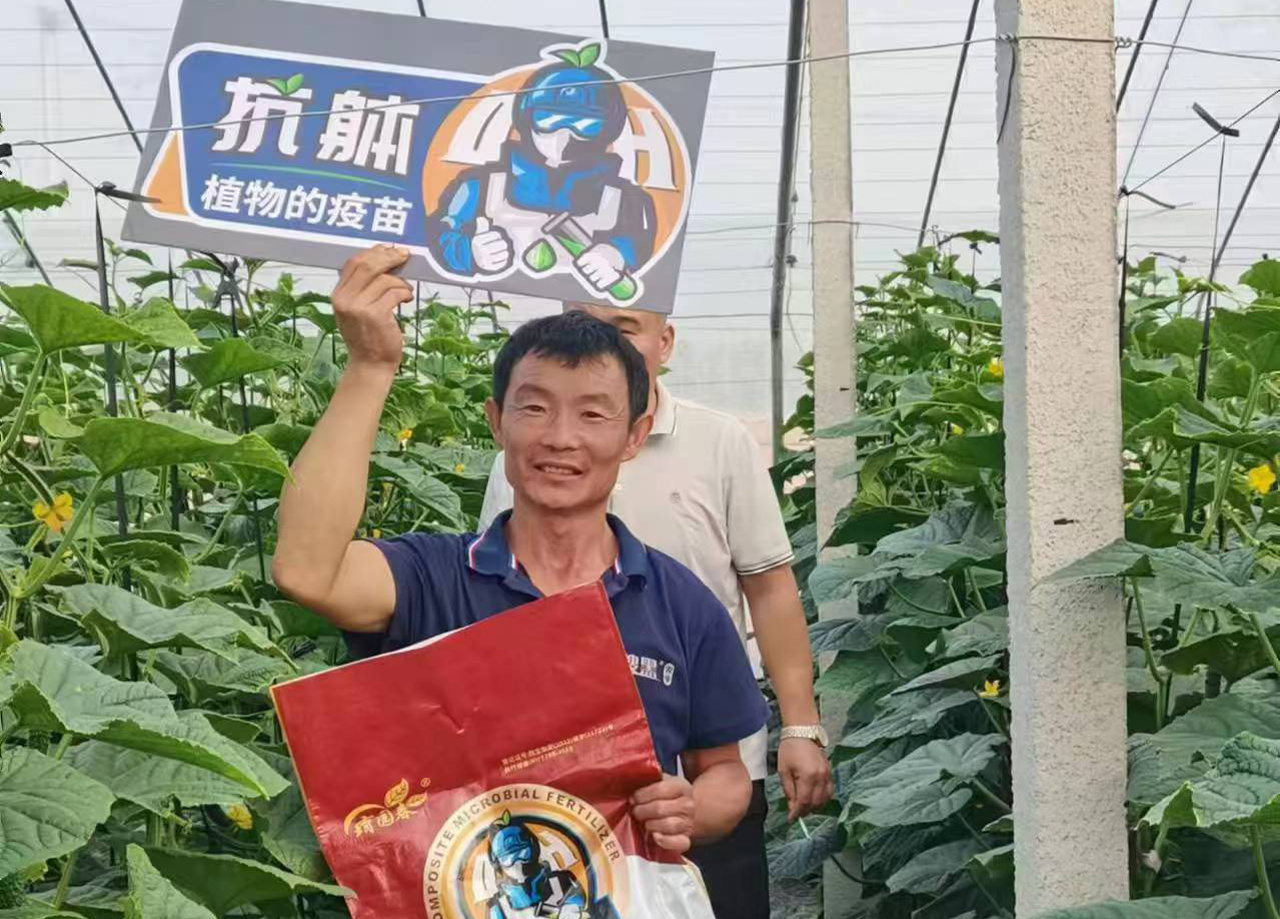 效果展示