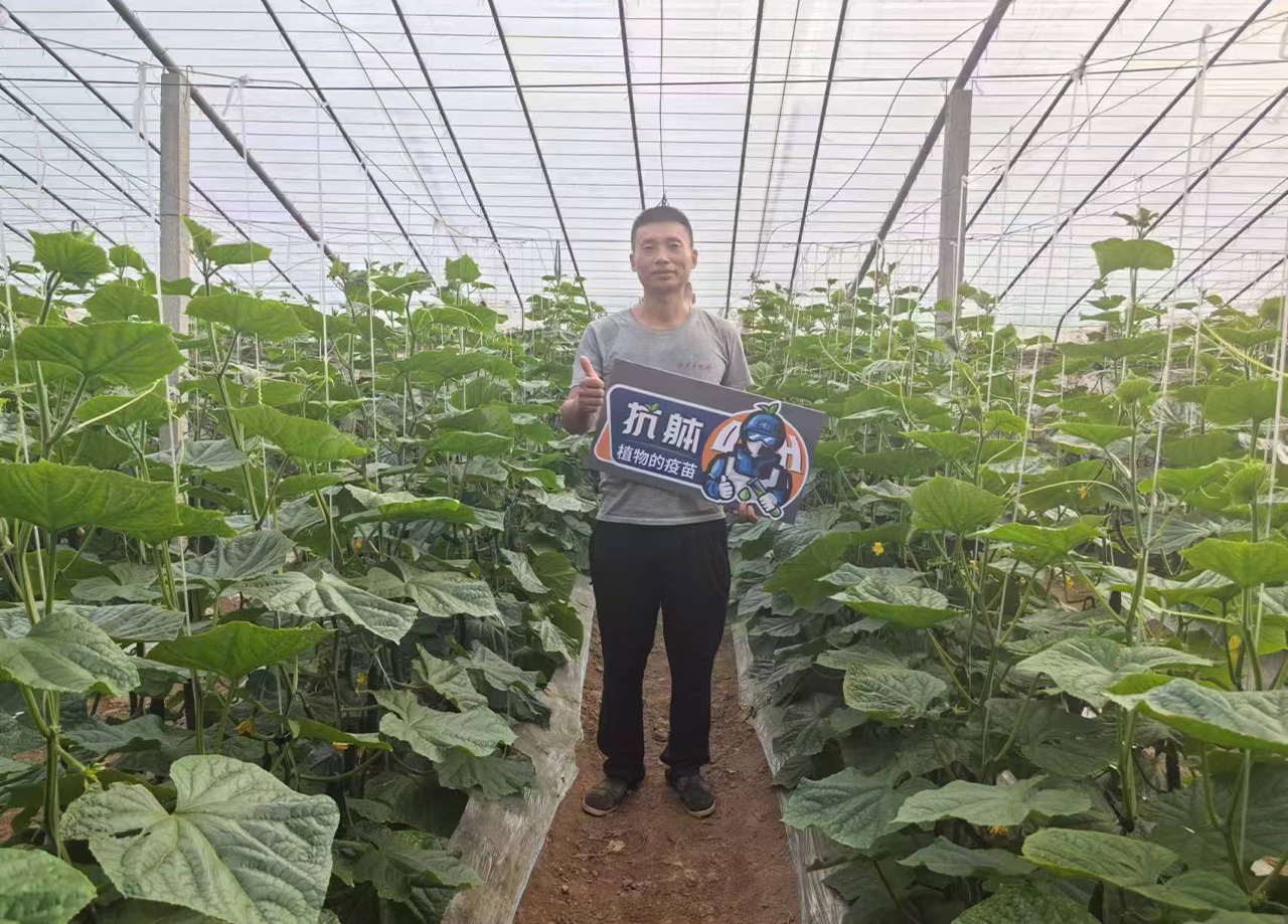 效果展示