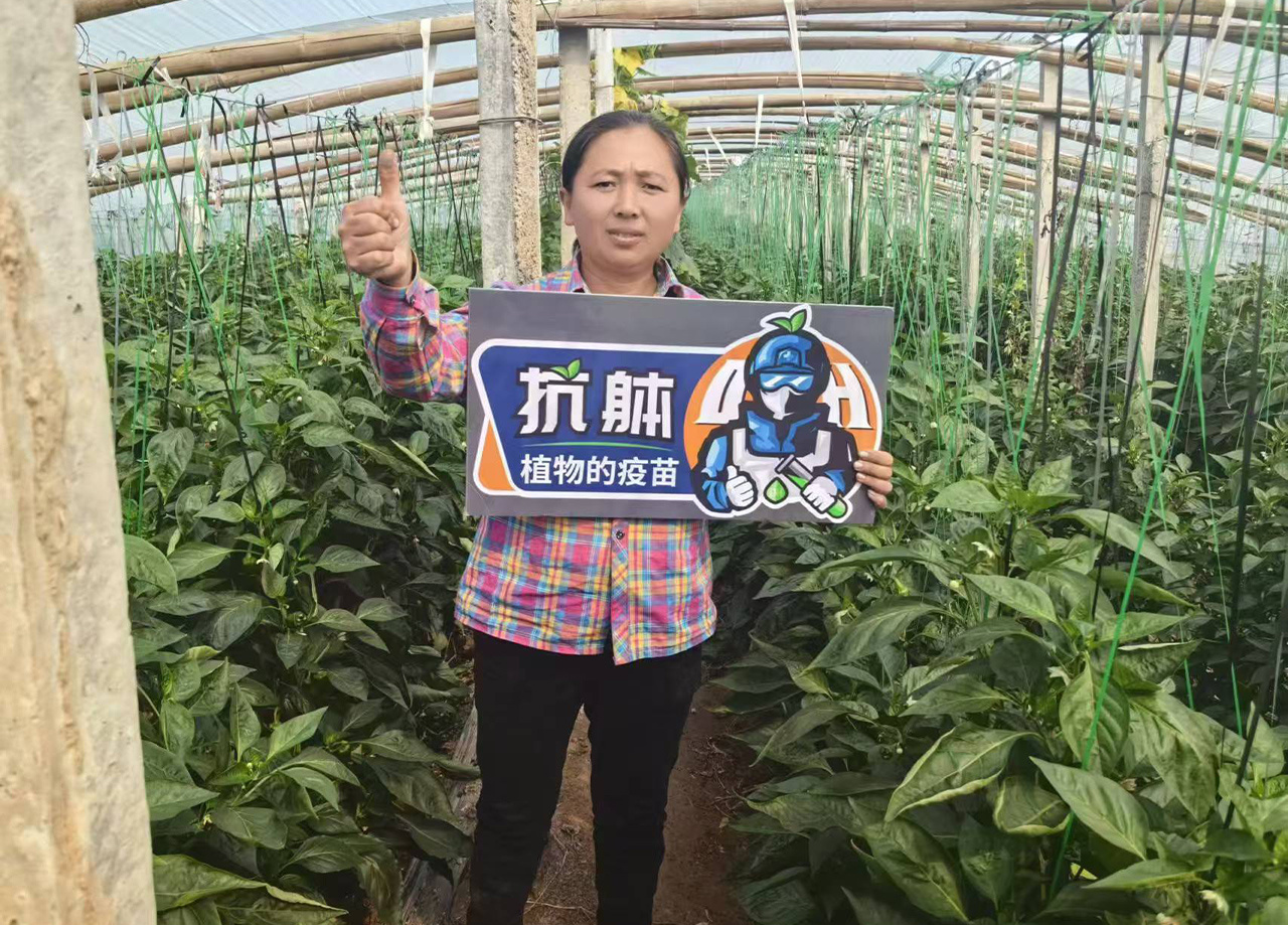 效果展示