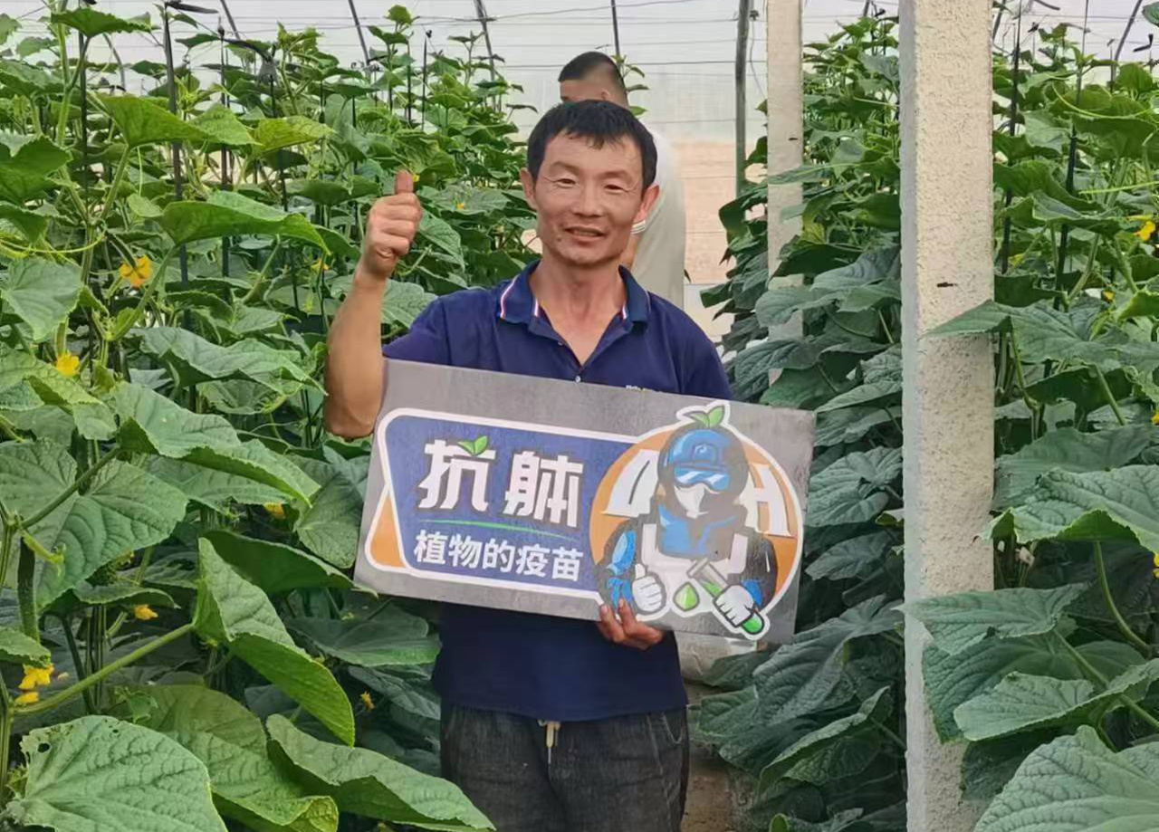 效果展示