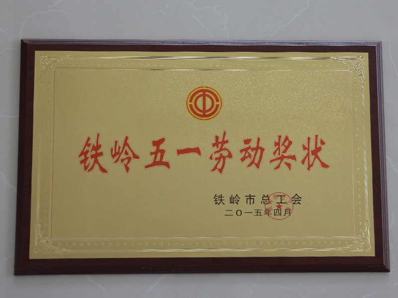 鐵嶺五一勞動(dòng)獎(jiǎng)狀 鐵嶺五一勞動(dòng)獎(jiǎng)狀