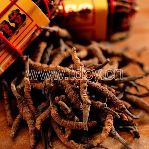 应用范围：补品