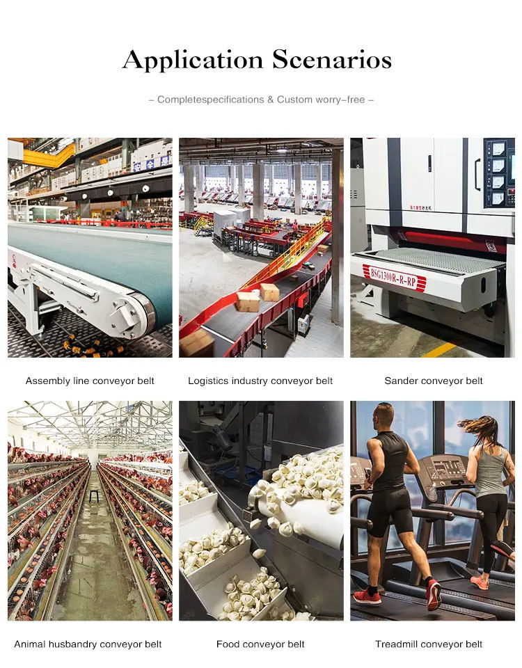 PVC Conveyer Belt
