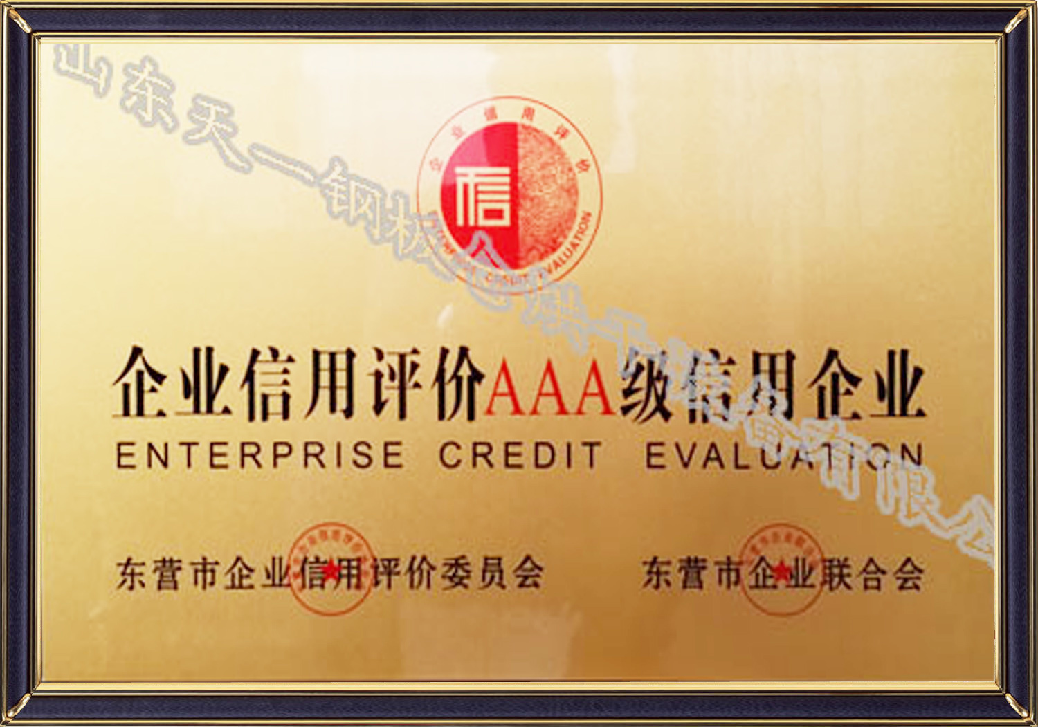 Enterprise qualification