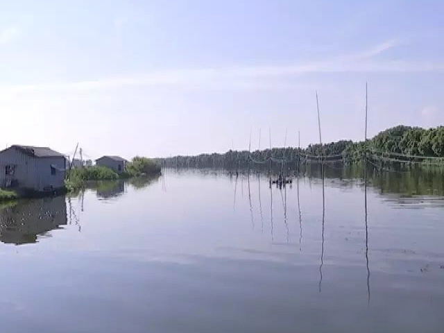 記者走基層｜牛田洋養殖：產業化帶來好效益