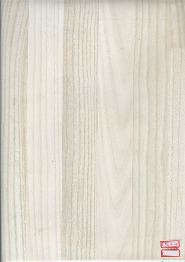 JY8024-B