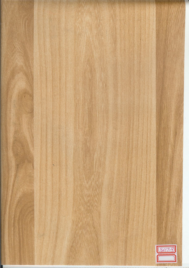 JY8017-9