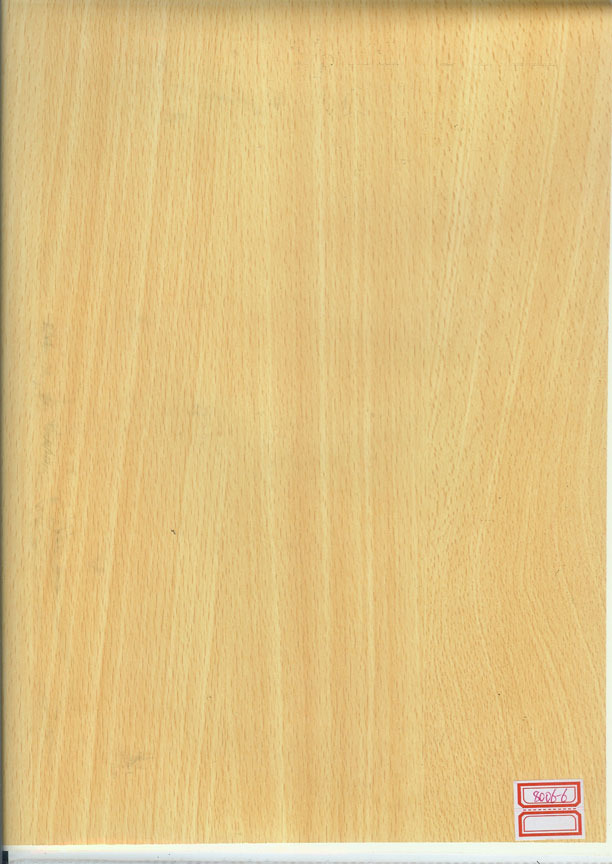 JY8006-6
