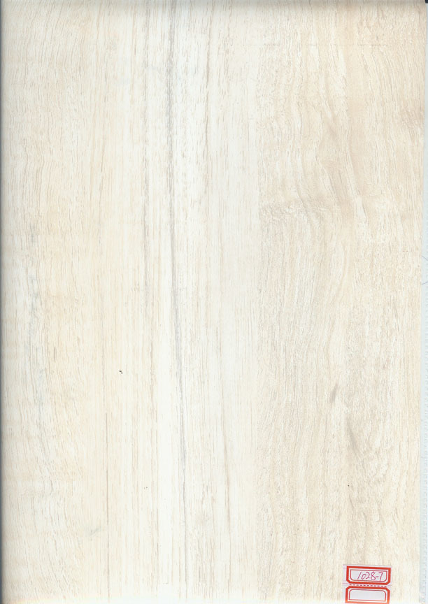 JY1028-7