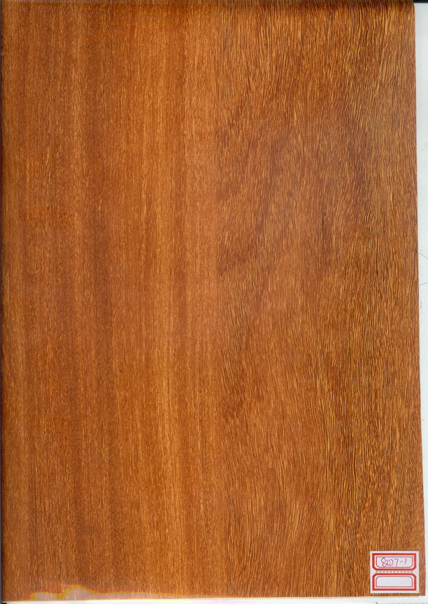 JY8027-1