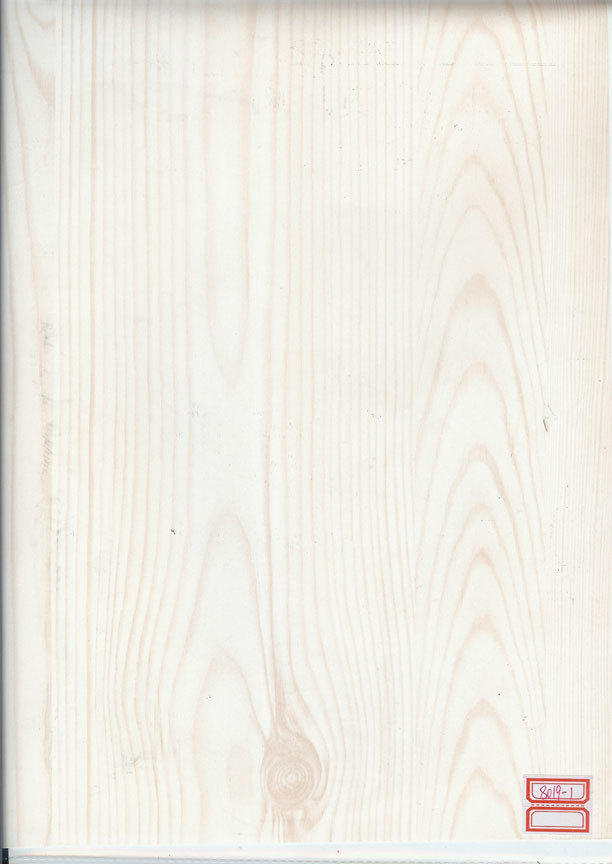 JY8019-1