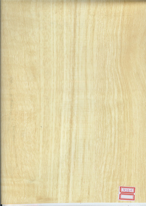 JY1028-5